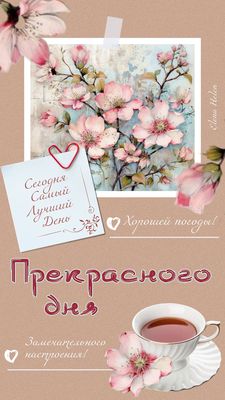 Открытка «Добрый день»: Прекрасного дня и замечательного настроения!. Тэги: Добрый день и добрые пожелания, Добрый де…