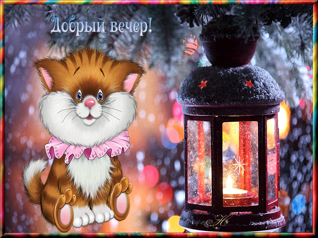 Открытка «Животное»: Добрый вечер! Волшебный зимний вечер с котиком. Тэги: пожелание, красивая, хорошее настроение…