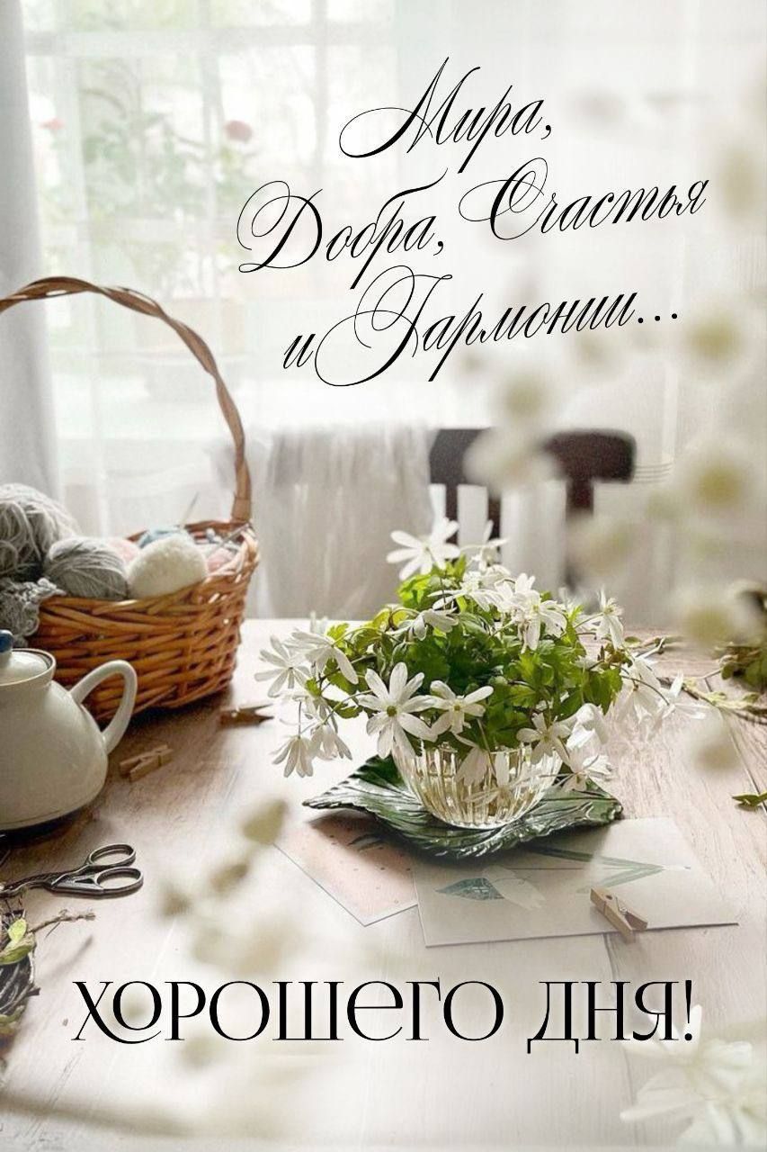 Открытка «Хорошего дня»: Хорошего дня! Мира, добра и счастья. Тэги: Добрый день, Добрый день и добрые пожелания…