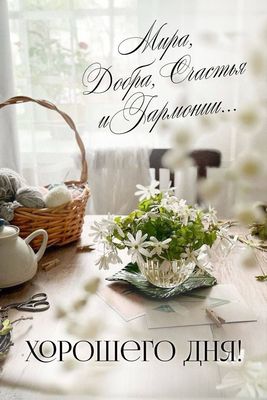 Открытка «Хорошего дня»: Хорошего дня! Мира, добра и счастья. Тэги: Добрый день, Добрый день и добрые пожелания…
