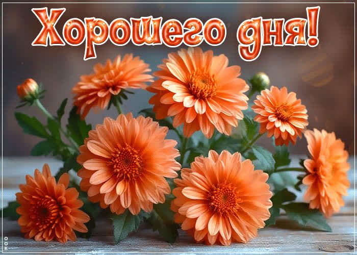 Открытка «Хорошего дня»: Хорошего дня! Открытка с прекрасными цветами. Тэги: пожелание, улыбка, друг, подруга, красив…