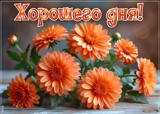 Открытка «Хорошего дня»: Хорошего дня! Открытка с прекрасными цветами. Тэги: пожелание, улыбка, друг, подруга, красив…