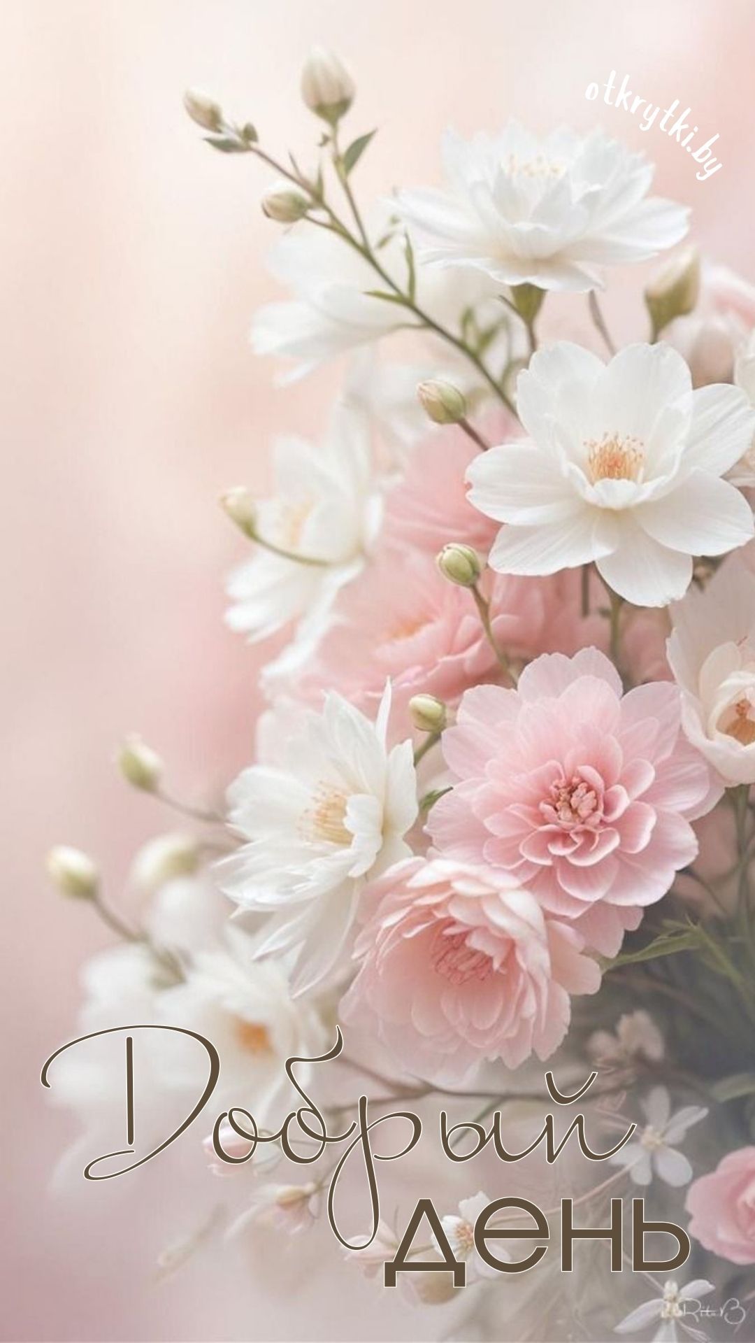 Открытка «Пожелание»: Добрый день! Нежная открытка с красивыми цветами. Тэги: улыбка, друг, подруга, красивая, хороше…