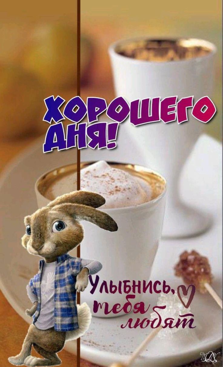 Открытка «Животное»: Хорошего дня! Позитив и улыбка для настроения. Тэги: пожелание, улыбка, утро, кофе, позитив…