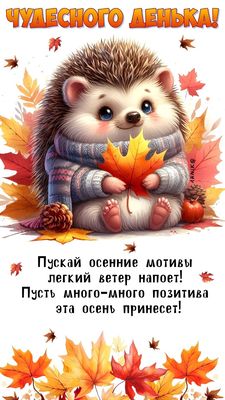 Открытка «Добрый день»: Чудесного денька! Осенний позитив с милым ежиком. Тэги: Добрый день и добрые пожелания…