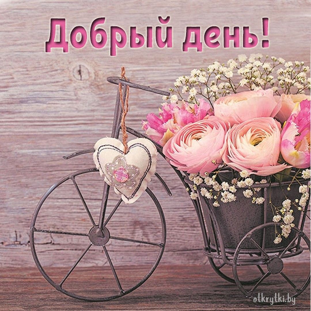 Открытка «Пожелание»: Добрый день! Нежное пожелание с цветами. Тэги: друг, подруга, женщина, красивая, позитив…