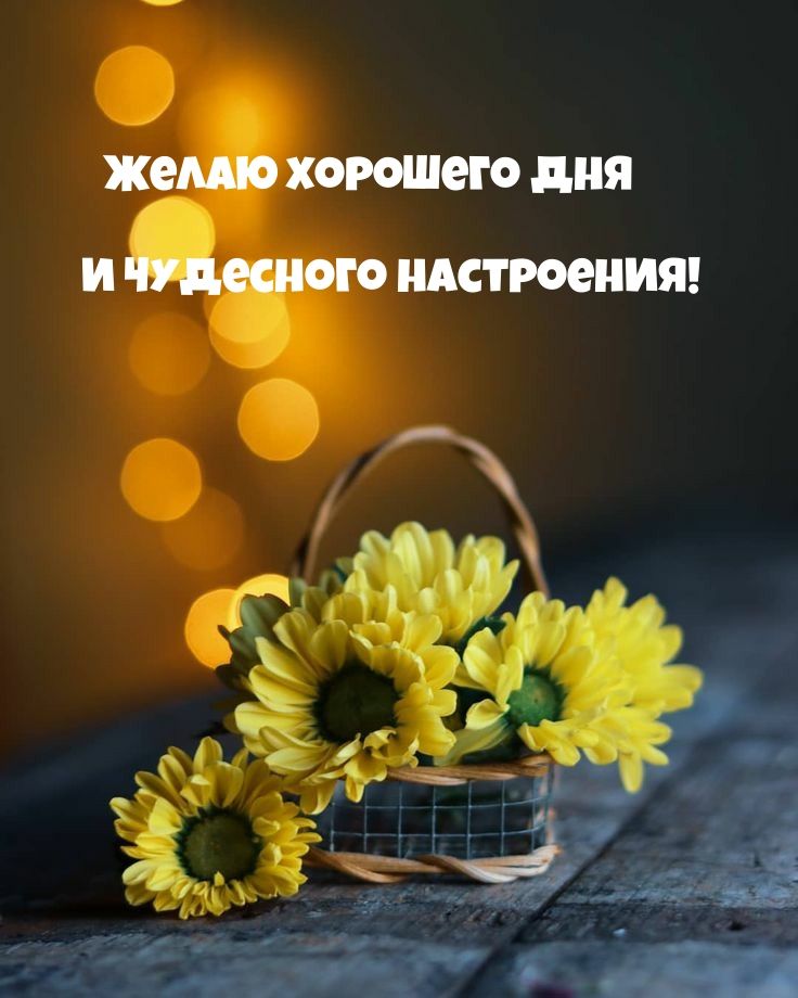 Открытка «Пожелание»: Желаю хорошего дня и чудесного настроения!. Тэги: улыбка, друг, подруга, мужчина, женщина…