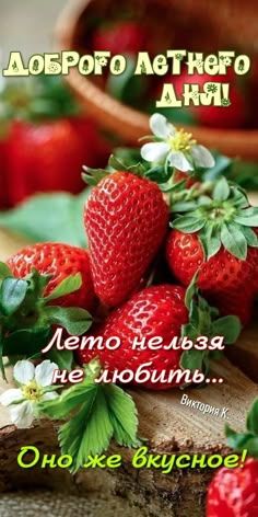 Открытка «Пожелание»: Доброго летнего дня! Открытка с клубникой. Тэги: улыбка, красивая, позитив, хорошее настроение…