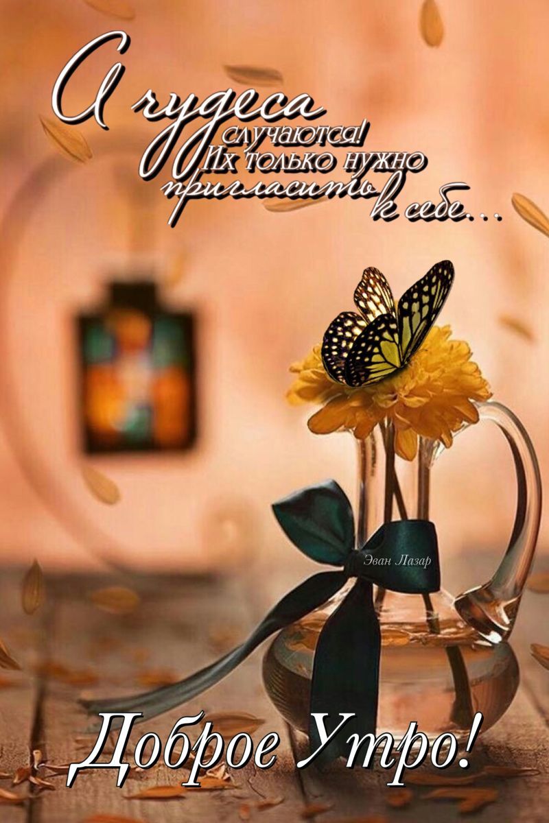 Открытка «Пожелание»: Доброе утро: Чудеса случаются! Красивое пожелание. Тэги: утро, красивая, позитив, хорошее настр…