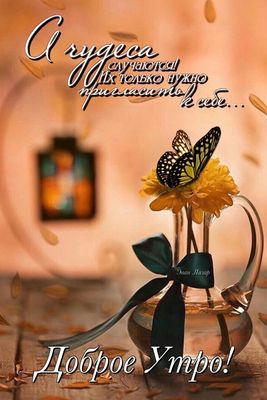 Открытка «Пожелание»: Доброе утро: Чудеса случаются! Красивое пожелание. Тэги: утро, красивая, позитив, хорошее настр…