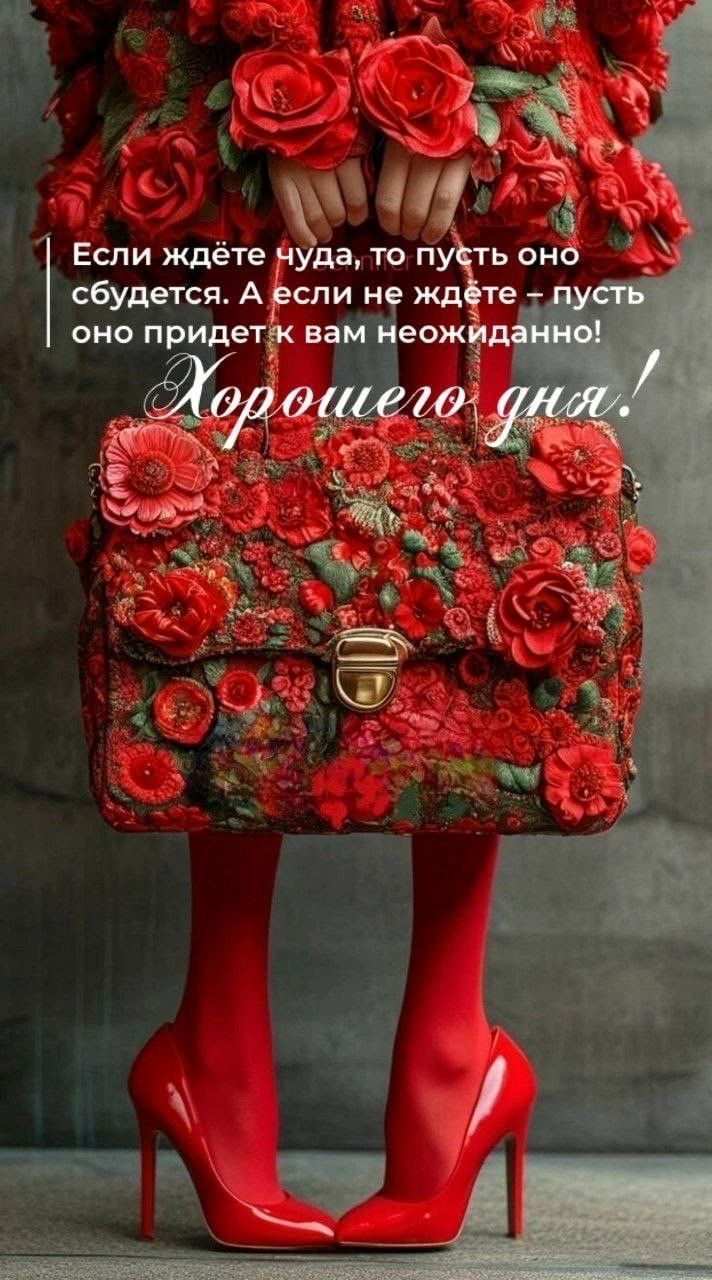 Открытка «Добрый день»: Яркое пожелание: хорошего дня и чудо!. Тэги: Добрый день и добрые пожелания, Добрый день…