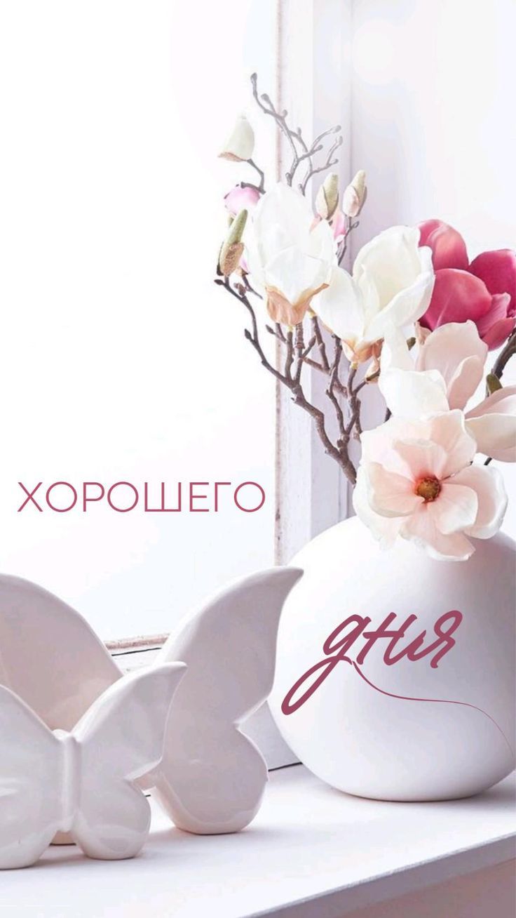 Открытка «Пожелание»: Хорошего дня! Нежное пожелание с цветами. Тэги: утро, красивая, радость, цветок, настроение…