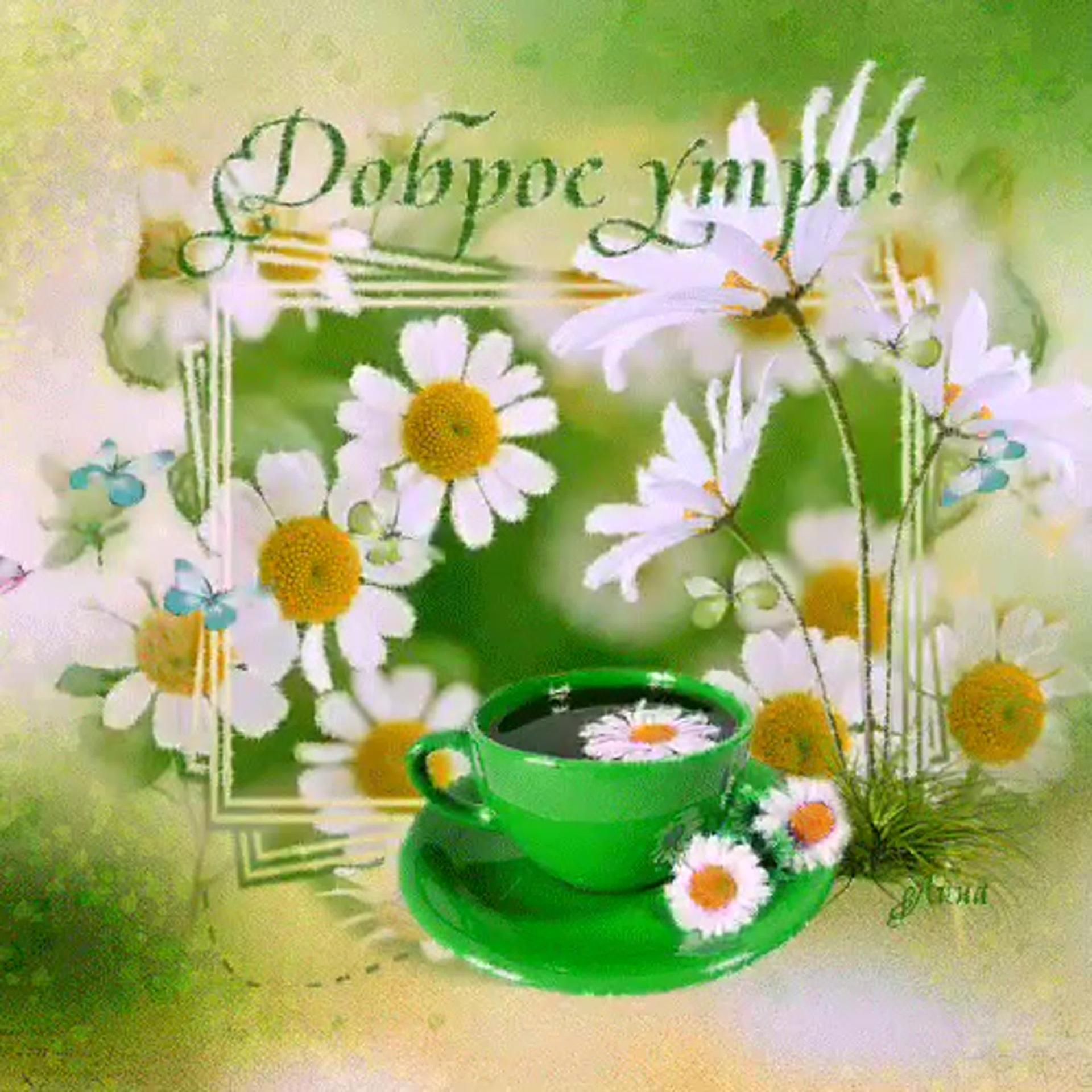 Открытка «Пожелание»: Доброе утро! Нежная открытка с цветами и бабочками. Тэги: утро, красивая, позитив, радость…