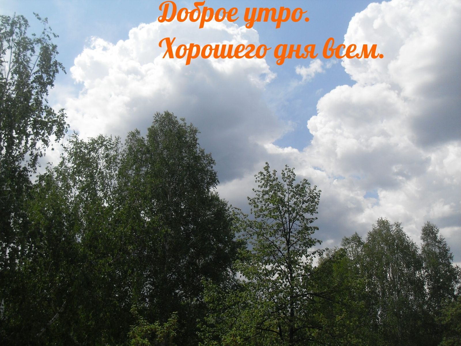 Открытка «С добрым утром»: Доброе утро. Пожелание хорошего дня всем!. Тэги: Хорошего дня, С добрым, летним утром…
