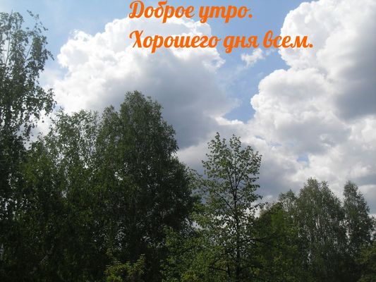 Открытка «С добрым утром»: Доброе утро. Пожелание хорошего дня всем!. Тэги: Хорошего дня, С добрым, летним утром…