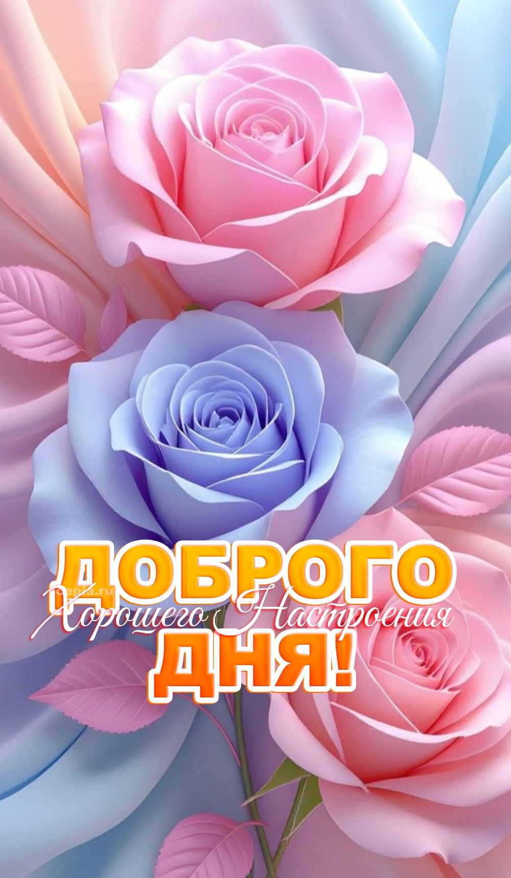 Открытка «Добрый день»: Доброго дня! Красивые розы для хорошего настроения. Тэги: Добрый день и добрые пожелания…