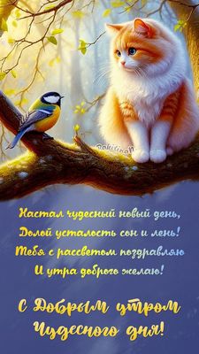 Открытка «С добрым утром»: С добрым утром! Кот, птица и чудесный день. Тэги: С добрым весенним утром, С добрым утром…