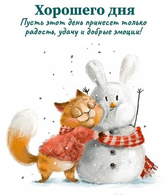 Открытка «Кот»: Хорошего дня! Радость и удача с милым котом. Тэги: животное, пожелание, улыбка, шарф, красивая…