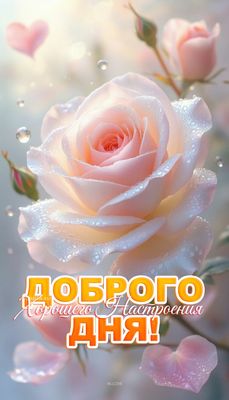 Открытка «Хорошего дня»: Доброго дня! Нежная роза для хорошего настроения.. Тэги: Добрый день, Добрый день и добрые п…