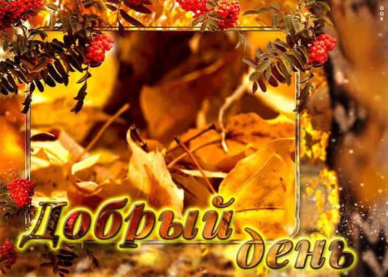 Открытка «Добрый день»: Добрый день: осенняя открытка с рябиной. Тэги: Добрый день и добрые пожелания, Добрый день…