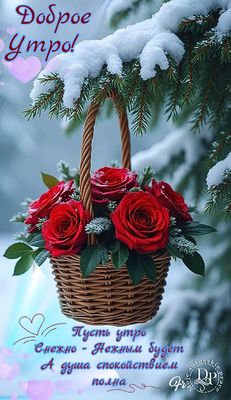 Открытка «Пожелание»: Доброе утро! Снежное утро с нежными розами. Тэги: утро, красивая, цветок, нежная, зима, природа…