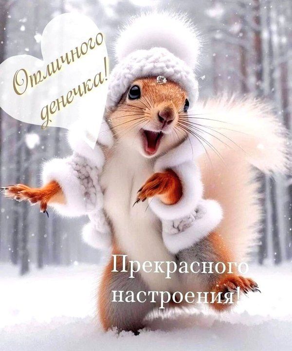Открытка «Животное»: Отличного дня и прекрасного настроения! Зима. Тэги: пожелание, отличное настроение, улыбка, шапка…