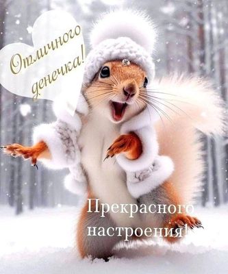 Открытка «Животное»: Отличного дня и прекрасного настроения! Зима. Тэги: пожелание, отличное настроение, улыбка, шапка…