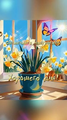 Открытка «Пожелание»: Солнечного настроения и хорошего дня!. Тэги: утро, красивая, позитив, радость, цветок, окно…