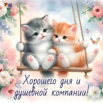 Открытка «Кот»: Милые котята на качелях: Хорошего дня и душевной компании!. Тэги: пожелание, улыбка, друг, подруга…