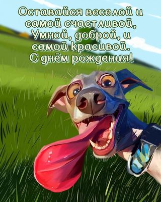 Открытка «С днем рождения»: С днём рождения, любимая! Самой веселой и красивой.. Тэги: животное, пожелание, улыбка…