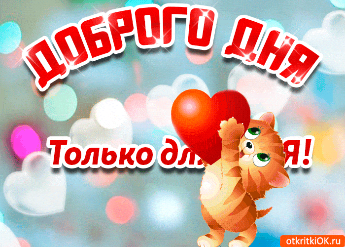 Открытка «Добрый день»: Доброго дня и любви! Милый кот с сердцем. Тэги: Добрый день и добрые пожелания, Добрый день…