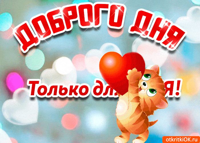 Открытка «Добрый день»: Доброго дня и любви! Милый кот с сердцем. Тэги: Добрый день и добрые пожелания, Добрый день…