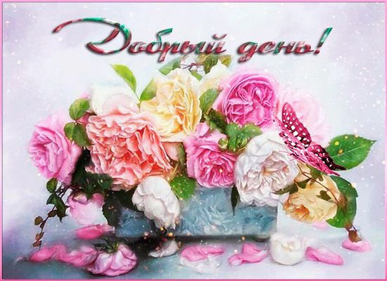 Открытка «Пожелание»: Добрый день! Красивый букет роз с бабочкой. Тэги: красивая, позитив, хорошее настроение, радость…