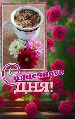 Открытка «Пожелание»: Солнечного дня! Кофе и розы для хорошего настроения. Тэги: утро, друг, подруга, красивая, кофе…
