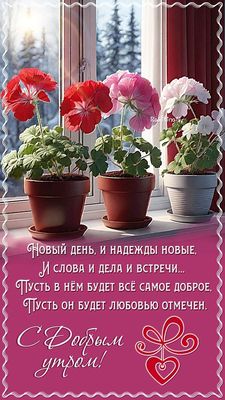 Открытка «С добрым утром»: С Добрым утром! Новые надежды и любовь. Тэги: Добрый день, С добрым зимним утром, С добрым…