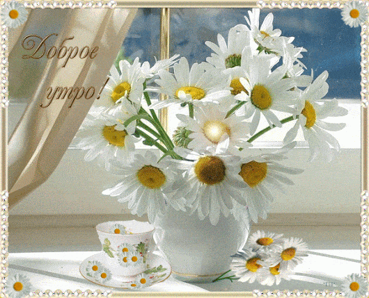 Открытка «С добрым утром»: Красивая открытка Доброе утро с букетом ромашек. Тэги: С добрым утром, женщине, Анимирован…