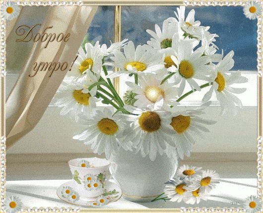 Открытка «С добрым утром»: Красивая открытка Доброе утро с букетом ромашек. Тэги: С добрым утром, женщине, Анимирован…