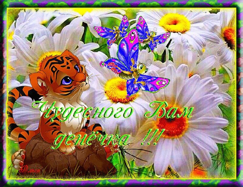 Открытка «Животное»: Чудесного денечка! Открытка с тигренком и бабочками. Тэги: пожелание, улыбка, красивая, позитив…