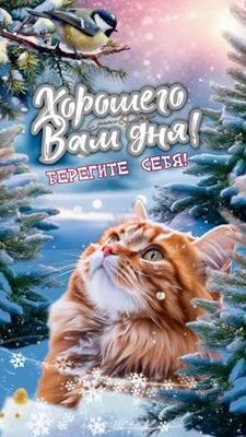 Открытка «Хорошего дня»: Хорошего дня! Теплое зимнее пожелание. Тэги: кот, животное, пожелание, красивая, радость…