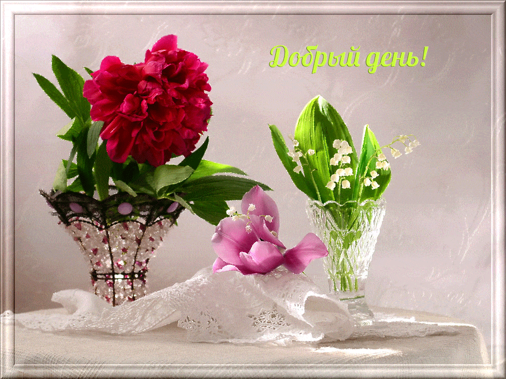 Открытка «Пожелание»: Добрый день! Красивые цветы для прекрасного настроения. Тэги: красивая, позитив, хорошее настро…