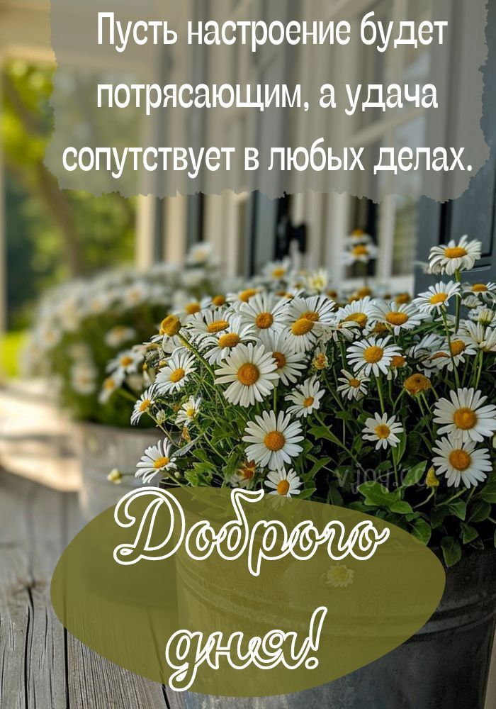 Открытка «Добрый день»: Доброго дня: Пусть настроение будет потрясающим!. Тэги: Добрый день и добрые пожелания…