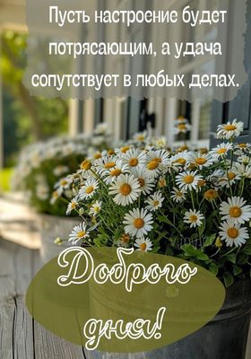 Открытка «Добрый день»: Доброго дня: Пусть настроение будет потрясающим!. Тэги: Добрый день и добрые пожелания…