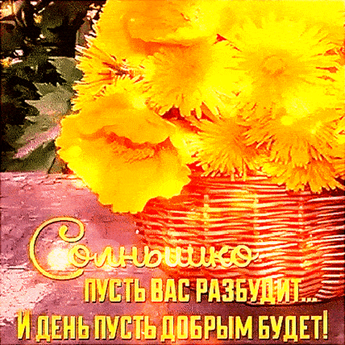 Открытка «С добрым утром»: Солнышко и добрый день! Яркое пожелание. Тэги: Анимированное доброе утро, С добрым утром и…
