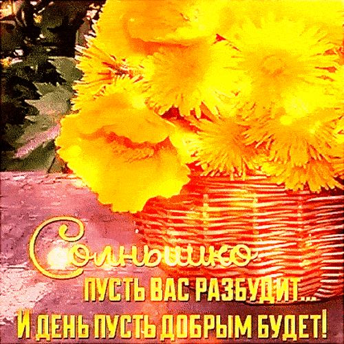 Открытка «С добрым утром»: Солнышко и добрый день! Яркое пожелание. Тэги: Анимированное доброе утро, С добрым утром и…