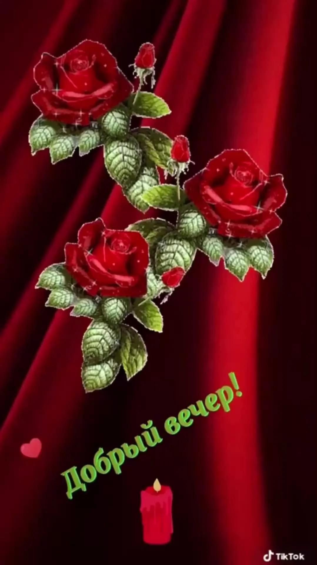 Открытка «Пожелание»: Добрый вечер! Красивые розы и уютная свеча. Тэги: красивая, радость, цветок, настроение, лист…