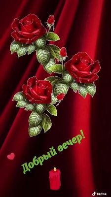 Открытка «Пожелание»: Добрый вечер! Красивые розы и уютная свеча. Тэги: красивая, радость, цветок, настроение, лист…