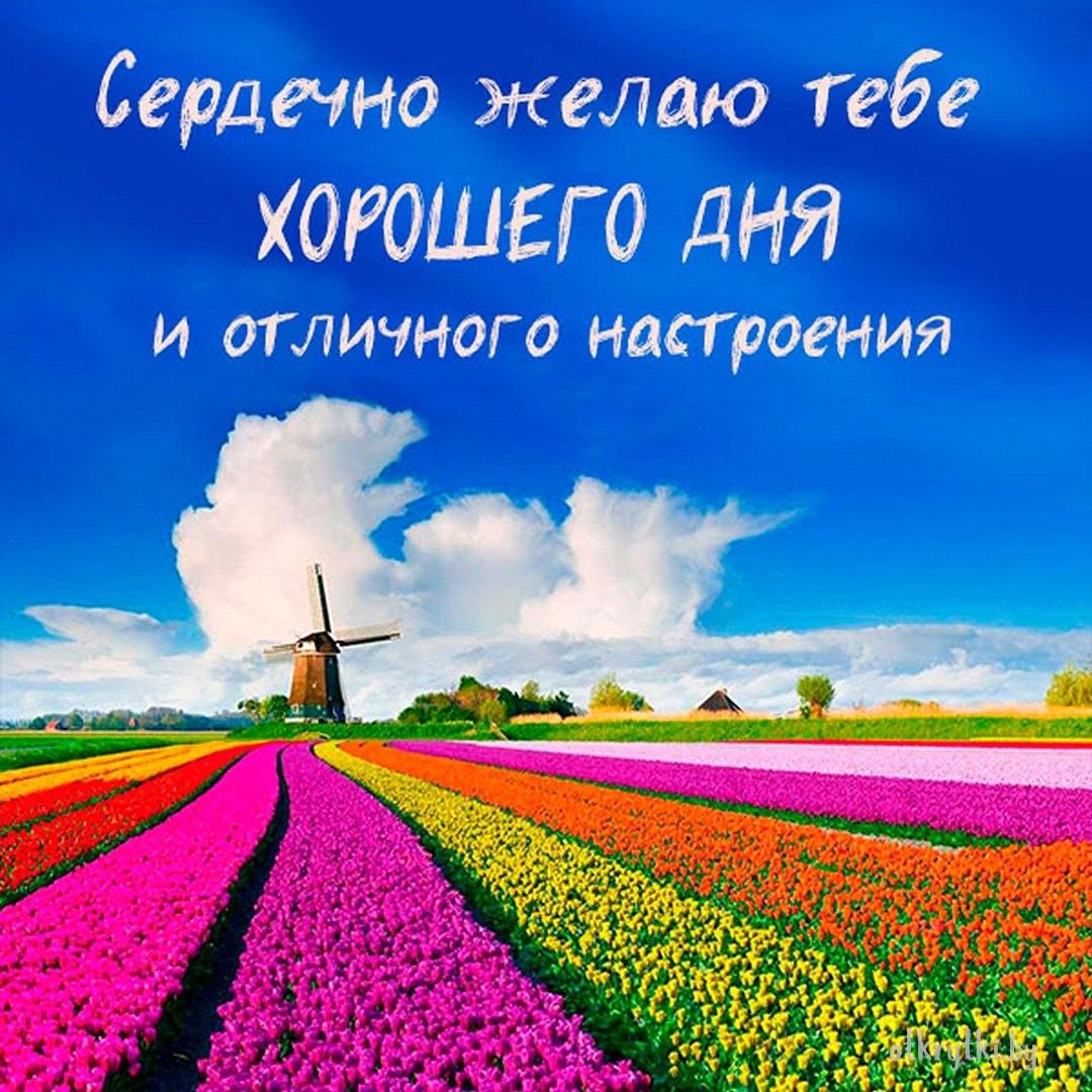 Открытка «Пожелание»: Хорошего дня и настроения! Весенние тюльпаны и мельница. Тэги: отличное настроение, улыбка…