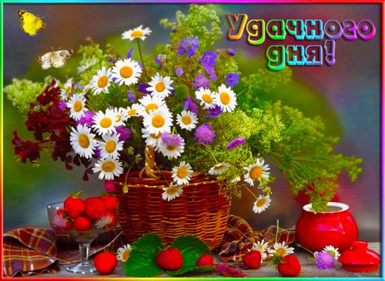 Открытка «Добрый день»: Удачного дня! Яркие цветы и хорошее настроение. Тэги: Удачного дня, Добрый день и добрые поже…