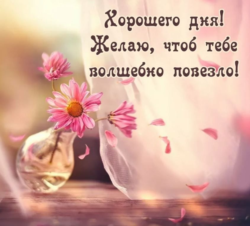 Открытка «Пожелание»: Хорошего дня! Желаю удачи и позитива!. Тэги: утро, позитив, цветок, настроение, весна, лето…
