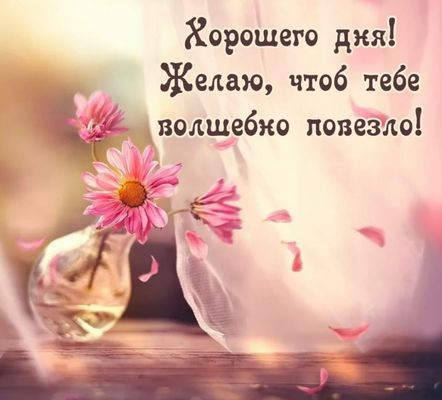 Открытка «Пожелание»: Хорошего дня! Желаю удачи и позитива!. Тэги: утро, позитив, цветок, настроение, весна, лето…